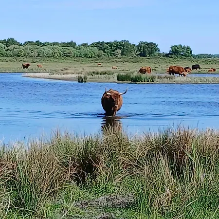 Roulotte De Charme Casa de Férias Villers-sur-Authie