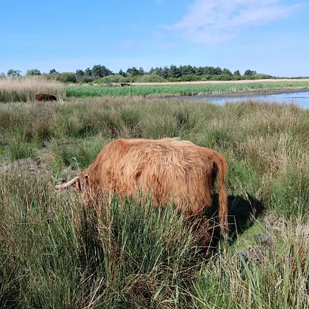 Casa de Férias Roulotte De Charme Villers-sur-Authie