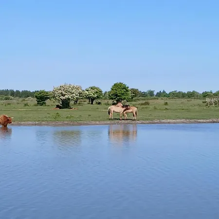Roulotte De Charme Semesterbostad *